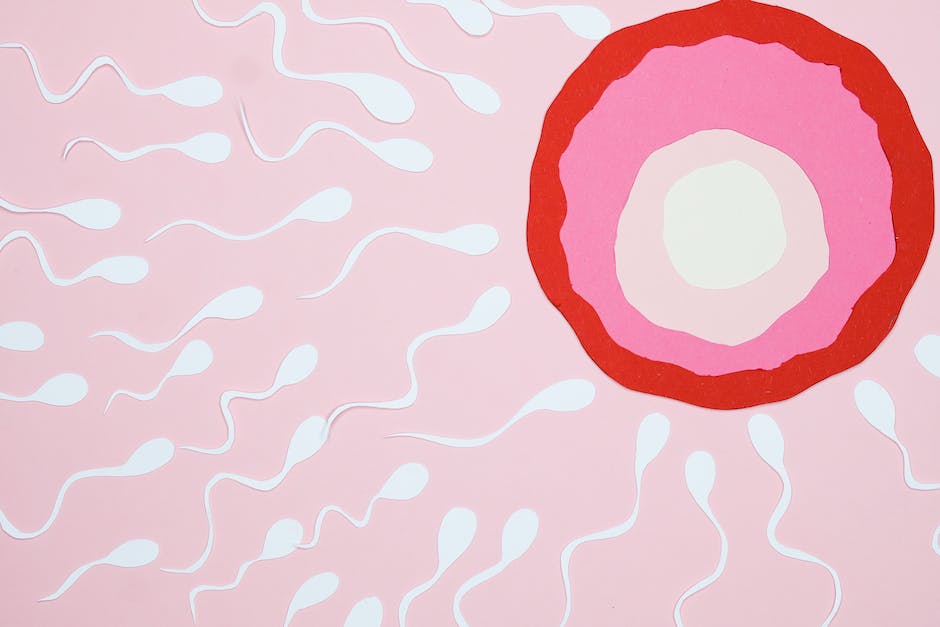 Lebensdauer von Spermien im menschlichen Körper