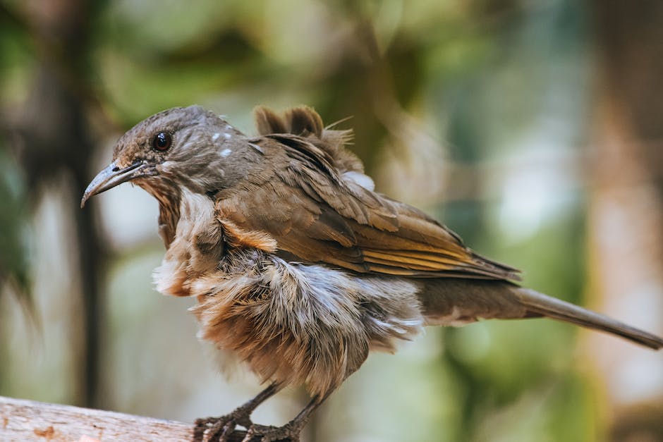  Wie lange bleibt Sperma im Körper?