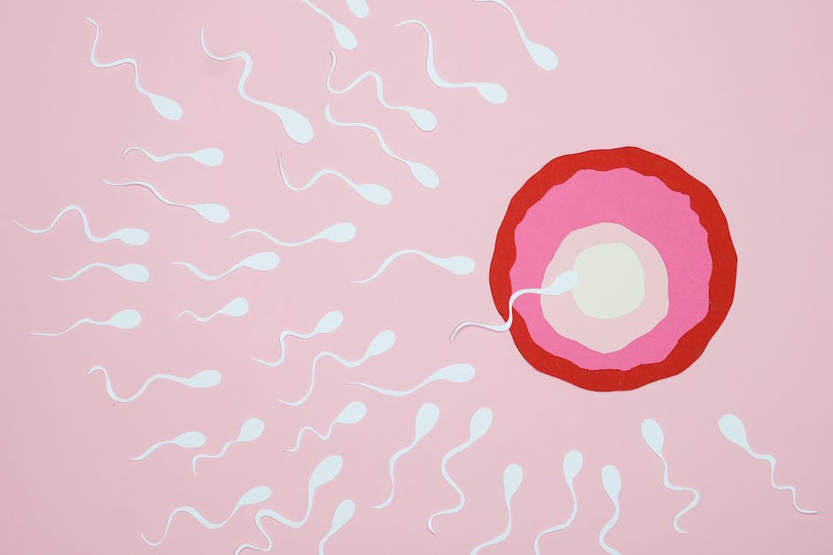 Langlebigkeit von Sperma im Körper der Frau