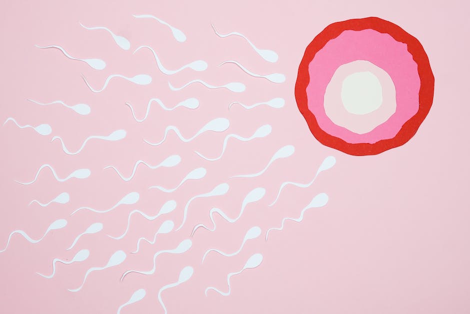 Wissen Sie Wie Lange Sperma Im Körper Einer Frau Verbleiben Kann Entdecken Sie Die Antworten 